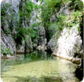 GORGE DU TOULOURENC