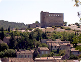 CHATEAU DU VIEUX VAISON